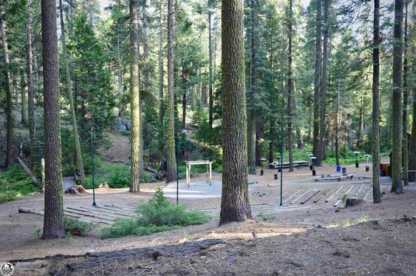 500 Dodge Ridge, Pinecrest, CA 95364